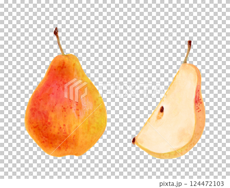 Yellow whole pear with a piece of fruit. Botanical illustration in watercolor. Hand drawn isolated drawing. Clip art of ripe fruits from tree for menu design, agriculture. Organic food sketch 124472103