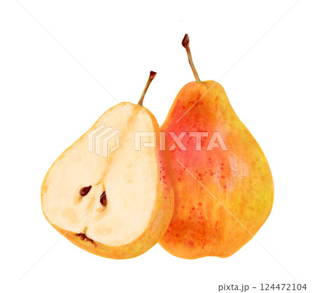 Fruit composition of yellow pear. Watercolor and marker illustration. Ripe fruits from tree. Hand drawn isolated art. Vegetarian products organic food. Clip art for juice packaging design, menu 124472104