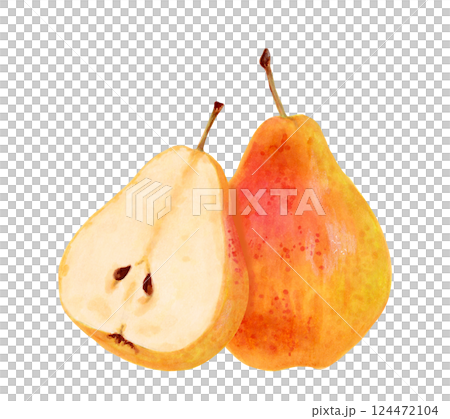 Fruit composition of yellow pear. Watercolor and marker illustration. Ripe fruits from tree. Hand drawn isolated art. Vegetarian products organic food. Clip art for juice packaging design, menu 124472104