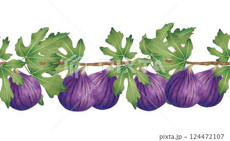 Branch of purple fig with leaves and whole fruits. Seamless border. Watercolor illustration. Horizontal banner for design of farm labels menu, recipes. Fruit harvest. Hand drawn isolated sketch 124472107