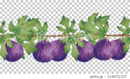 Branch of purple fig with leaves and whole fruits. Seamless border. Watercolor illustration. Horizontal banner for design of farm labels menu, recipes. Fruit harvest. Hand drawn isolated sketch 124472107