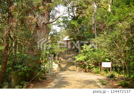 千葉県香取郡神崎町神崎本宿の神崎神社 千葉県香取郡神崎町神崎本宿の神崎神社 124472137