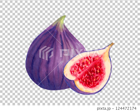 Fruit composition of whole and sliced figs. Botanical illustration with watercolor, marker. Tropical berries sketch. Hand drawn isolated clipart. Vegetable picture for food packaging, juice, menu. 124472174