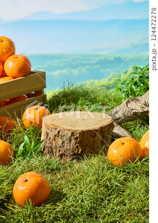 An ancient tree in the rainforest has been cut in half, creating a flat wooden platform for the produce. Ripe oranges with morning dew lie on the grass. Rough dry branches, natural landscape. An ancient tree in the rainforest has been cut in half, creating a flat wooden platform for the produce. Ripe oranges with morning dew lie on the grass. Rough dry branches, natural landscape. 124472278