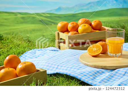 Glasses of juice from fresh oranges placed on a round wooden tray in the field. Shiny oranges in rectangular wooden crates on a checkered picnic mat. Green grasslands with lush lawns stretching out Glasses of juice from fresh oranges placed on a round wooden tray in the field. Shiny oranges in rectangular wooden crates on a checkered picnic mat. Green grasslands with lush lawns stretching out 124472312