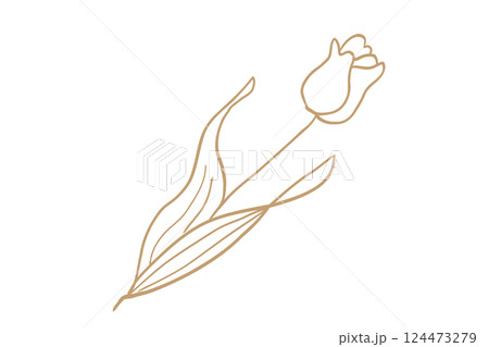 チューリップのシンプルな線画イラスト　金 124473279
