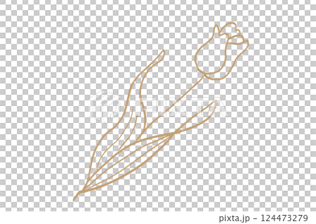 チューリップのシンプルな線画イラスト　金 124473279