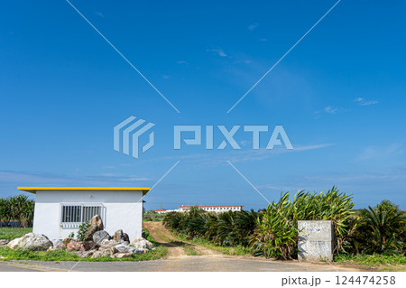 青い空の下に建つ南国の家 124474258