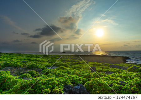 海岸から見る夕日 124474267