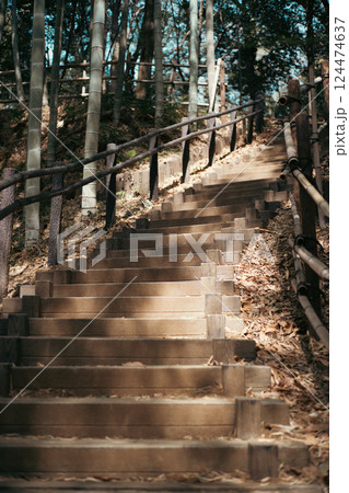 竹林と階段 竹林と階段 124474637