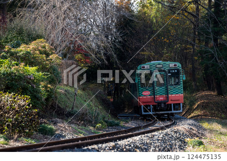 【真岡線】お寺の側を通過する普通列車 124475135