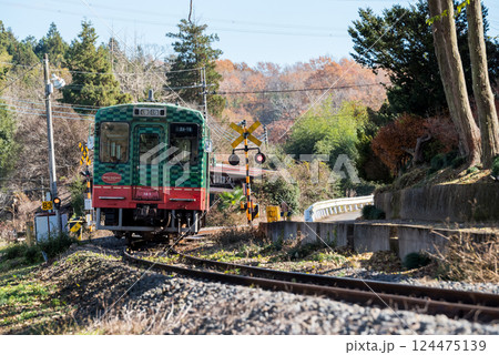 【真岡線】お寺の側を通過する普通列車 【真岡線】お寺の側を通過する普通列車 124475139