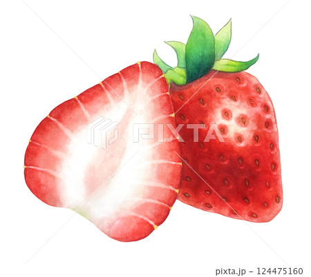 ふたつのいちごのイラスト 124475160