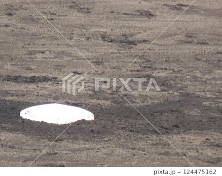 甲子園のセカンドベース 124475162