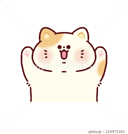 バンザイするかわいい猫 124475163