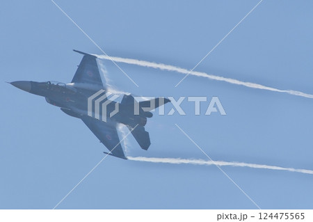 航空祭で機動飛行を行う航空自衛隊のF-2B 航空祭で機動飛行を行う航空自衛隊のF-2B 124475565