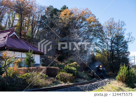 【真岡線】お寺の側を通過するSLもおか 124475575