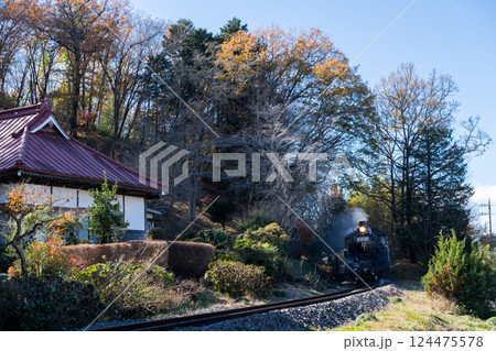 【真岡線】お寺の側を通過するSLもおか 【真岡線】お寺の側を通過するSLもおか 124475578