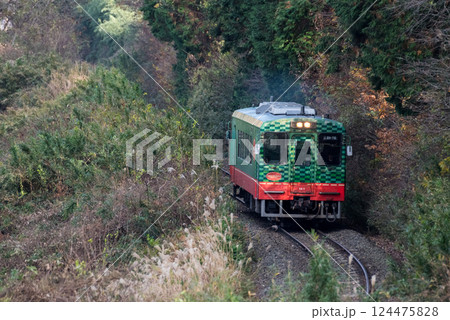 【真岡線】木々の間を通過する普通列車 124475828