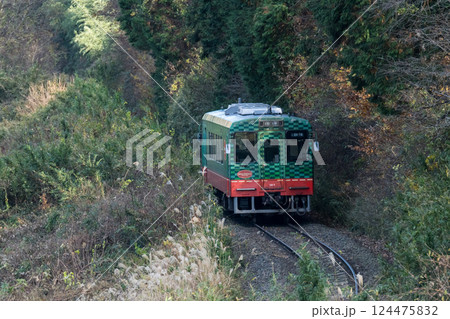 【真岡線】木々の間を通過する普通列車 124475832