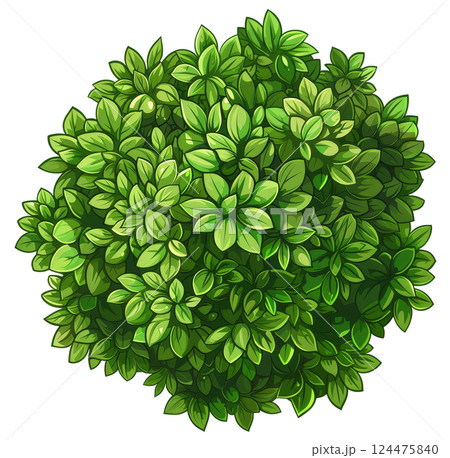 Illustration of a Bush 124475840