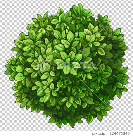 Illustration of a Bush 124475840