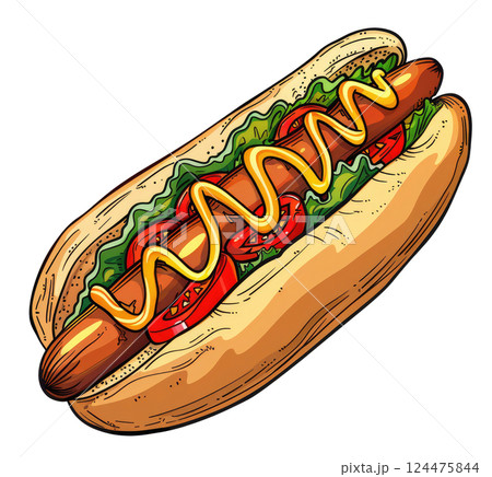 Hot Dog Illustration 124475844