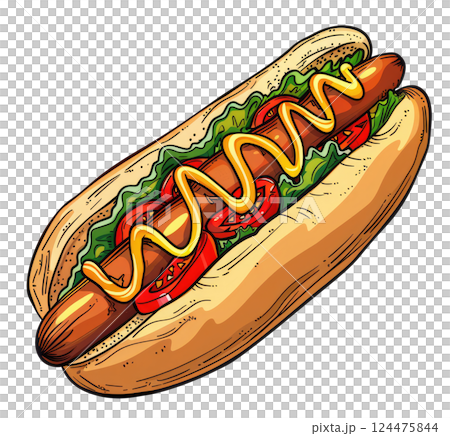Hot Dog Illustration 124475844