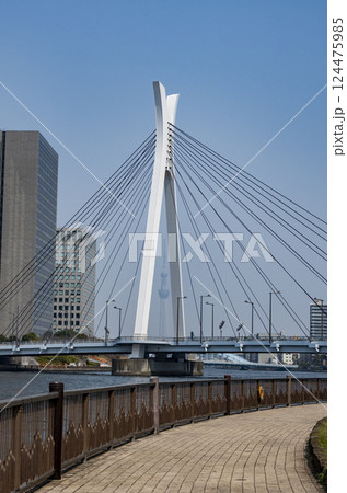 隅田川と晴海運河沿いの風景 隅田川と晴海運河沿いの風景 124475985