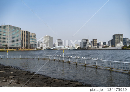 隅田川と晴海運河沿いの風景 124475989