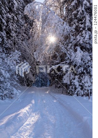 Sunny winter scenery with snow-covered trees and road 124476081