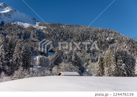 Snowy alpine scenery in the Bavarian Alps with snow-covered nature on a sunny day 124476139