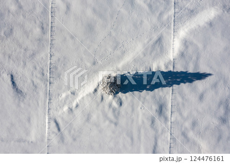 Fir tree minimalist on a snow-covered valley, aerial image in the Bavarian Alps, Germany 124476161