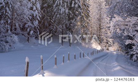 Forest road covered in deep snow on a sunny day in the Bavarian Alps, Germany Forest road covered in deep snow on a sunny day in the Bavarian Alps, Germany 124476163