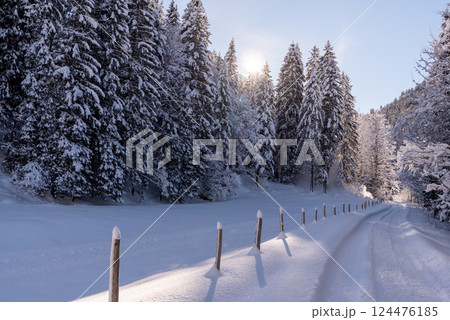 Snow-covered forest road on a beautiful sunny day in the Bavarian Alps, Germany Snow-covered forest road on a beautiful sunny day in the Bavarian Alps, Germany 124476185