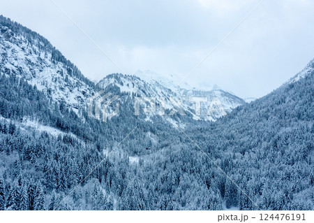Snow-covered pine forest on a cloudy morning in December, drone image in the Bavarian Alps, Germany 124476191