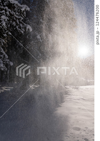 Winter scenery with snow falling from the trees on a sunny day in December 124476200