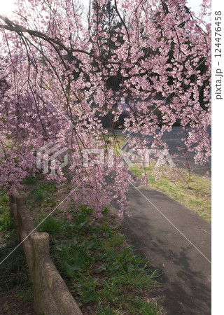 大草城址公園（長野県上伊那郡） 124476458