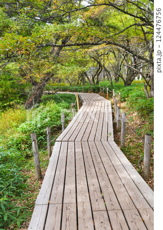 戦場ヶ原自然研究路 （栃木県日光市） 124476756