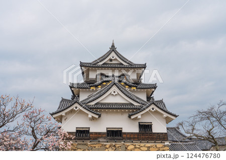正面からの彦根城の天守閣 正面からの彦根城の天守閣 124476780