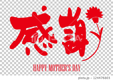 筆文字　感謝（カーネーション）HAPPY MOTHER'S DAY .n 124476803