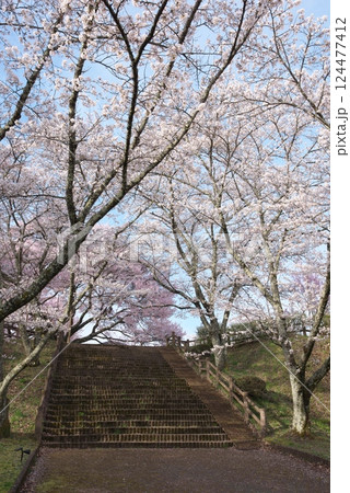 大草城址公園(長野県上伊那郡) 大草城址公園(長野県上伊那郡) 124477412