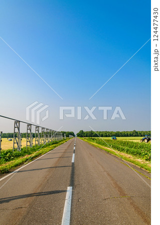 麦わらロールと一本道 麦わらロールと一本道 124477430