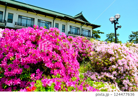 蒲郡クラシックホテル　満開に咲いたツツジ 124477636