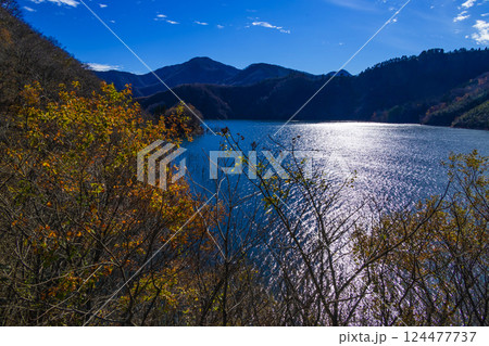 晩秋の徳山湖 晩秋の徳山湖 124477737
