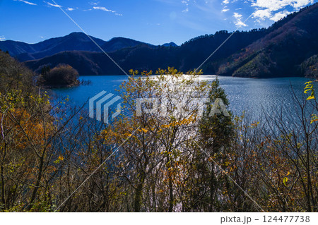 晩秋の徳山湖 124477738