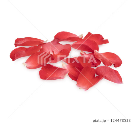 Fresh red rose petals isolated on white background 124478538