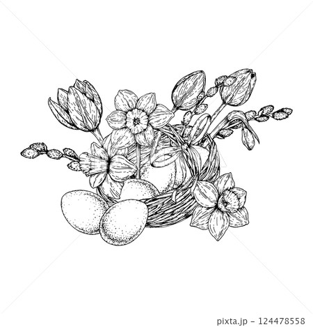 Vector illustration of an Easter basket filled with eggs, narcissus flowers, tulip buds, and pussy willow branches. Hand drawn in black and white ink style, ideal for spring-themed designs and prints. 124478558