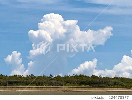 夏空 124478577