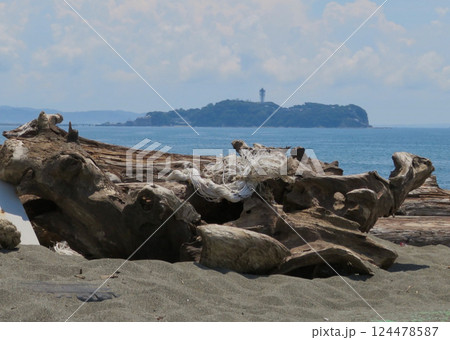 江の島と流木 124478587